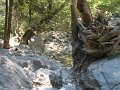 IMG_2159 - Copy